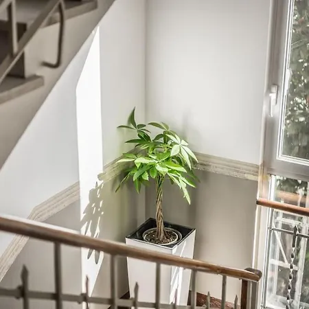 Апартаменты Cucchiari 7c *