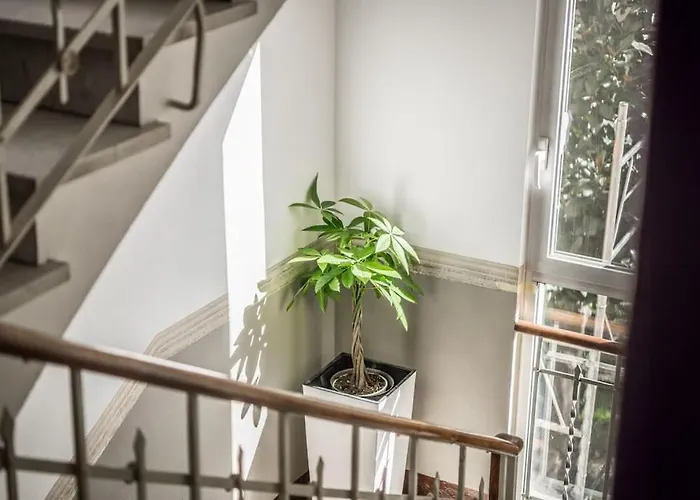 Апартаменты Cucchiari 7c *